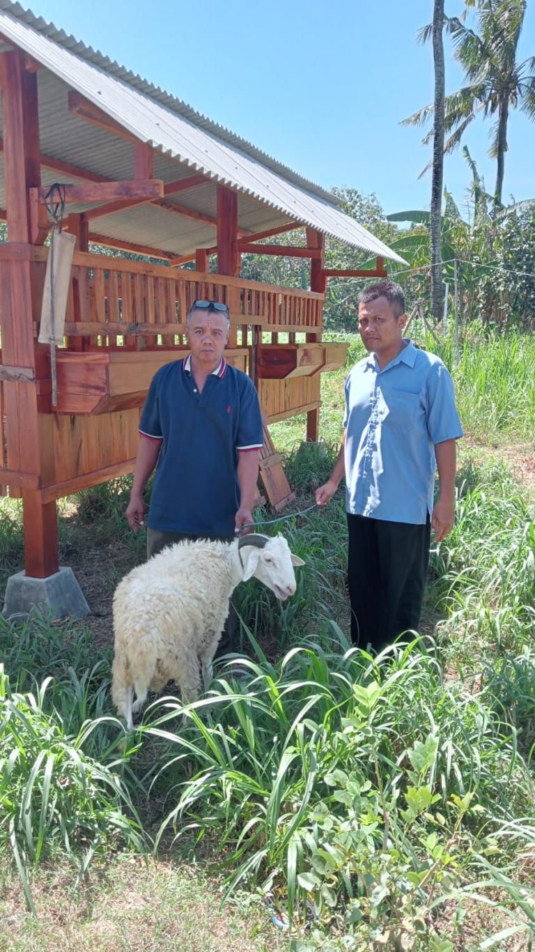 SERAH TERIMA KAMBING TERNAK DI PADUKUHAN KARANGASEM SELOHARJO