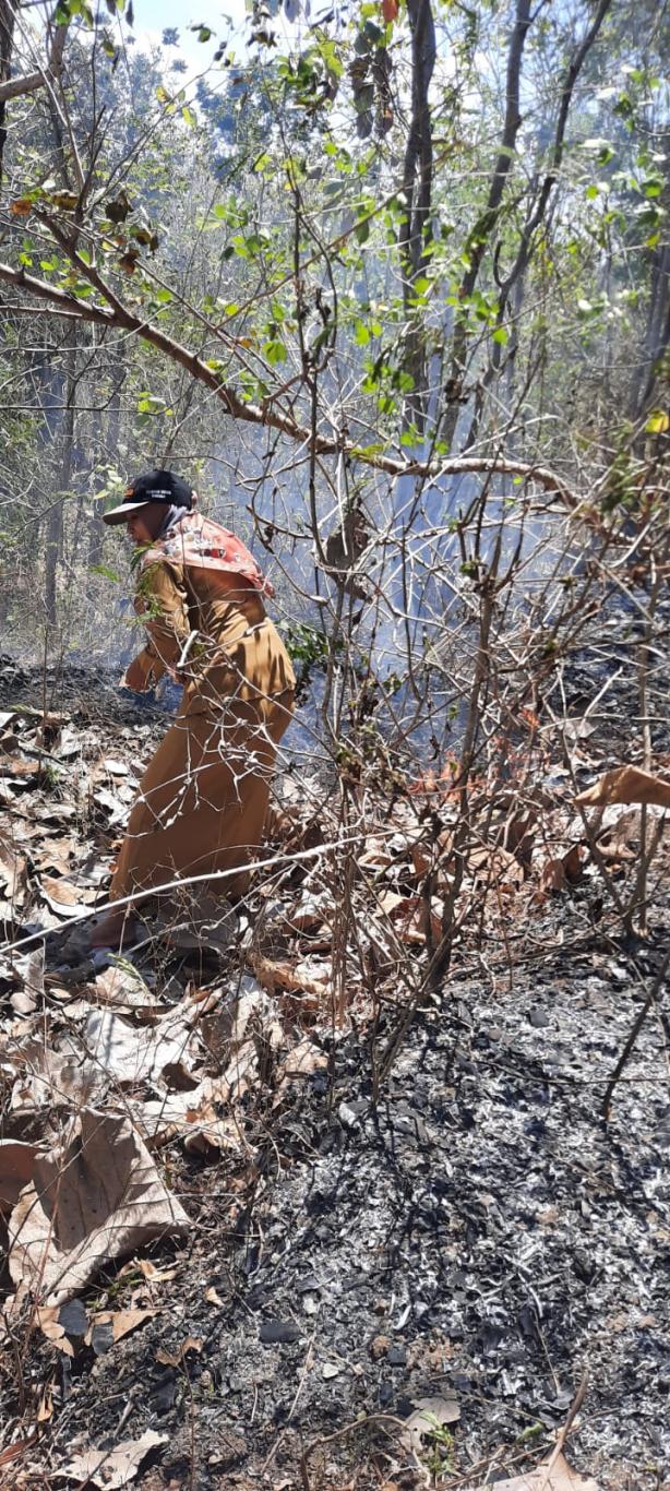 Kebakaran Hutan Di Padukuhan Nambangan
