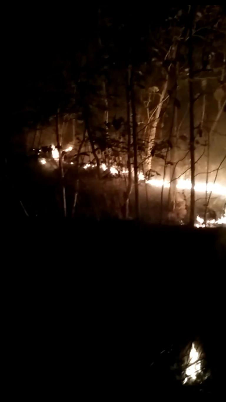 Kebakaran Hutan di Padukuhan Secang Kalinampu 