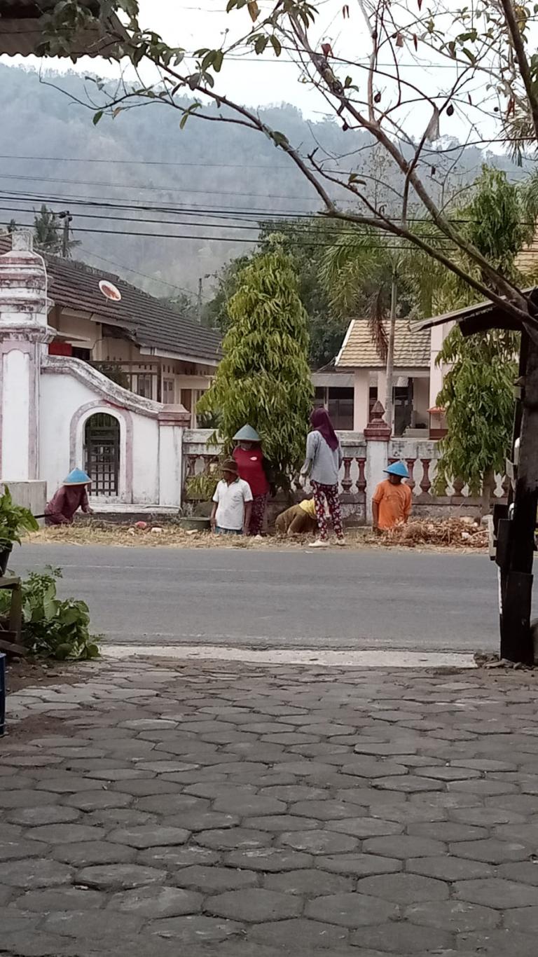 Angkat Tanah Walet di Depan Kantor Kalurahan Seloharjo