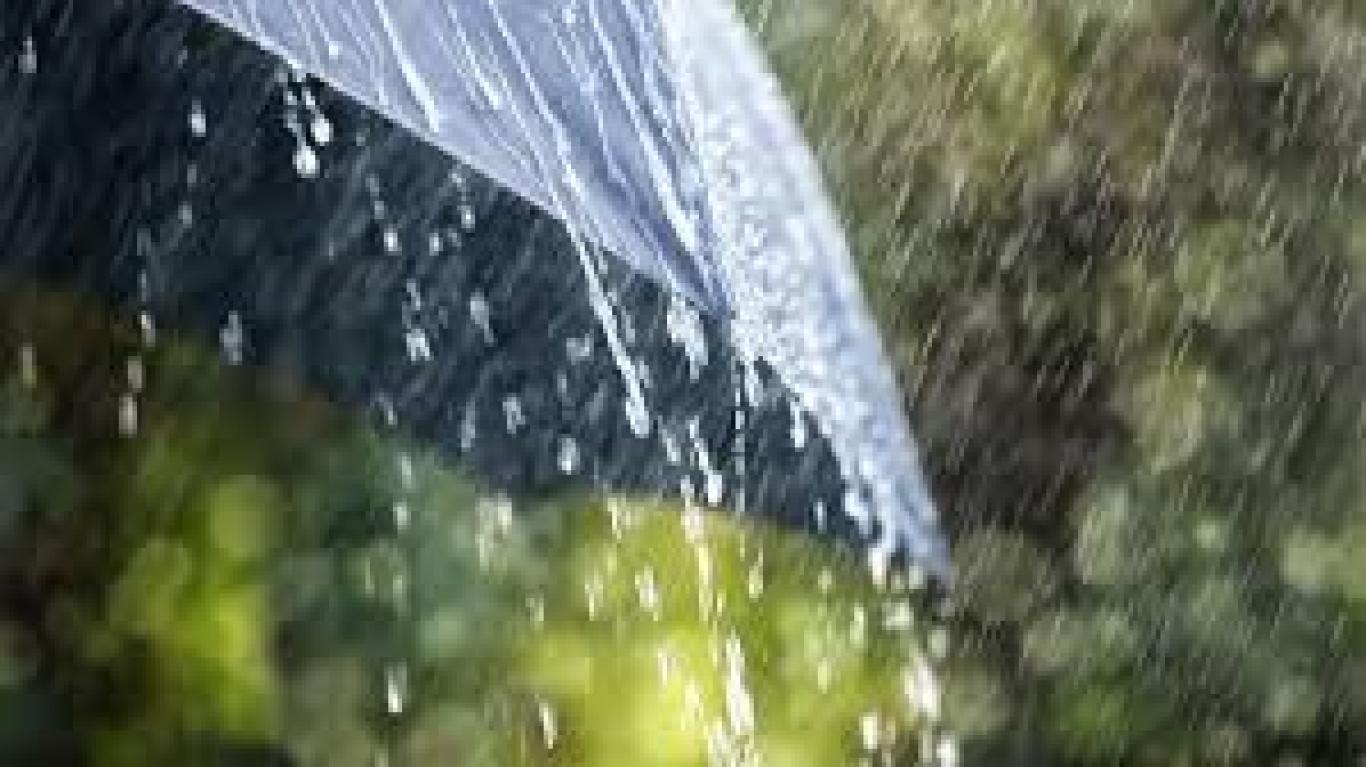 Tips Sehat Menghadapi Musim Penghujan