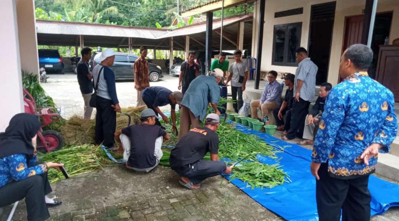 Praktek Pembuatan Fermentasi Pakan Ternak di Kalurahan Seloharjo