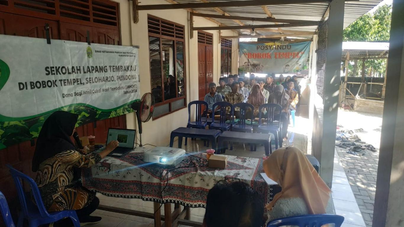 Sekolah Ladang Tembakau di Padukuhan Boboktempel