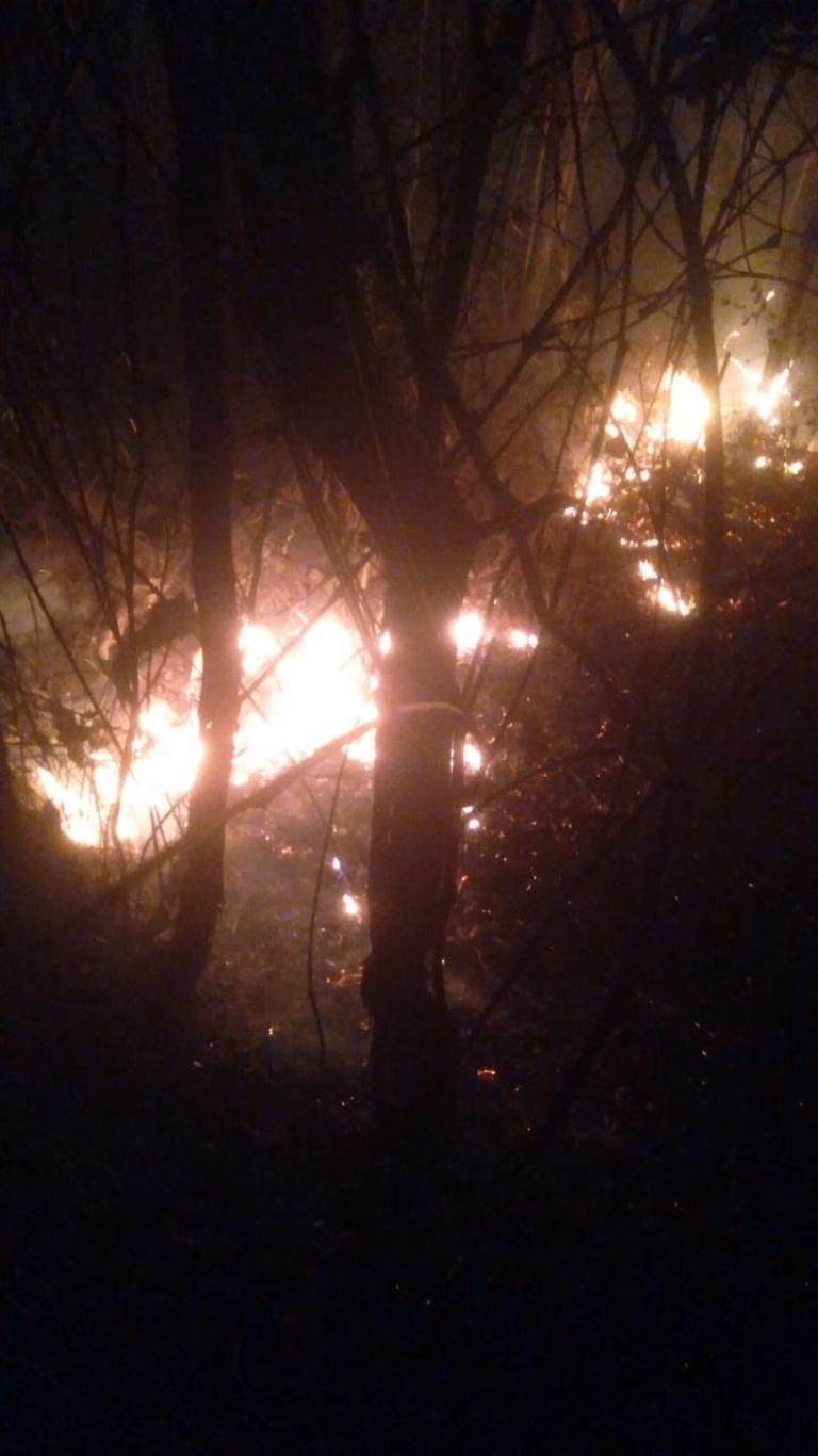 Kebakaran Lahan Bukit di Padukuhan Dukuh Seloharjo Pundong Bantul