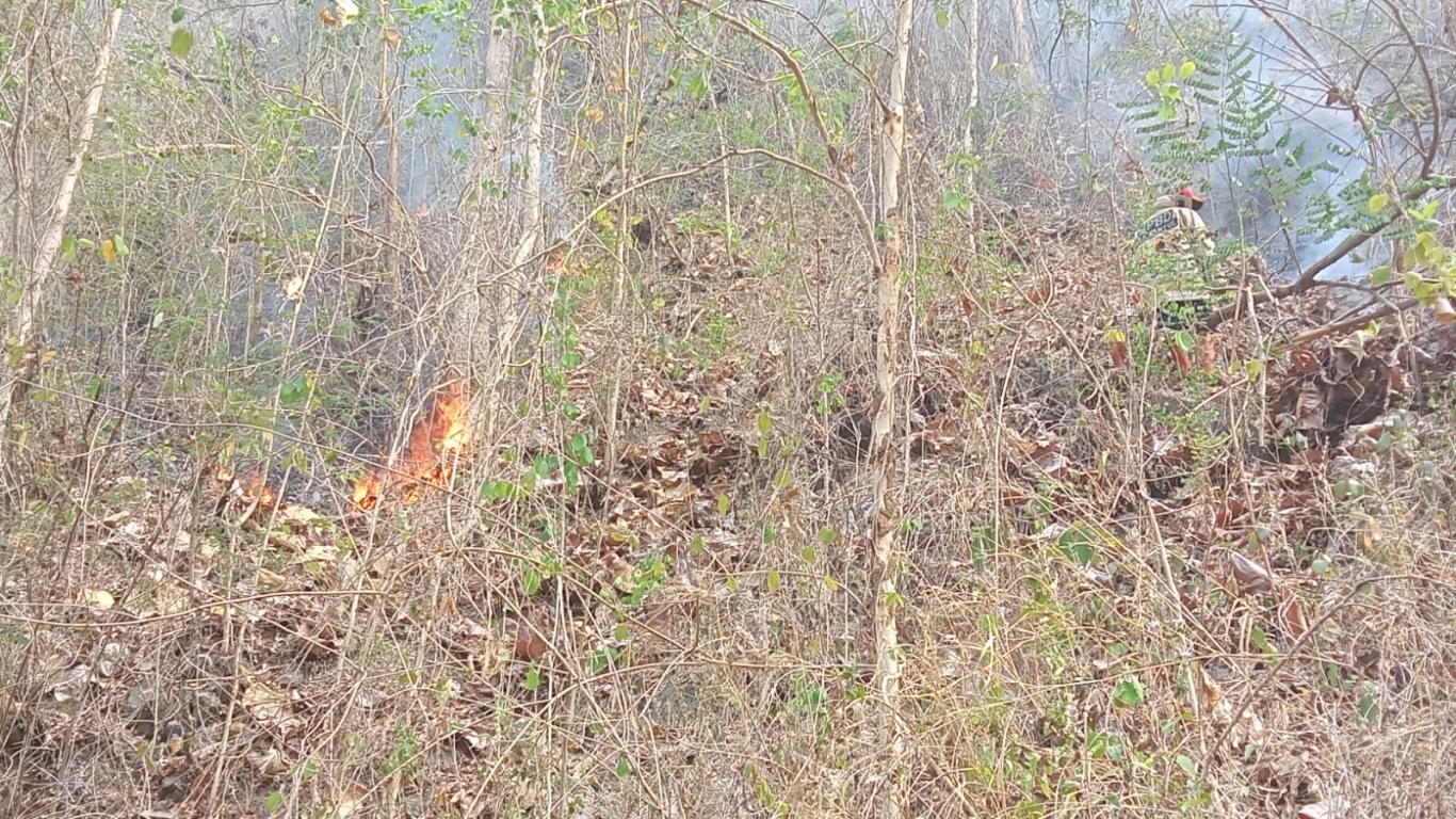 Kebakaran Hutan di Padukuhan Dermojurang dan Boboktempel