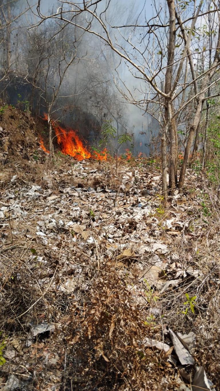 Kebakaran Hutan di Padukuhan Dukuh