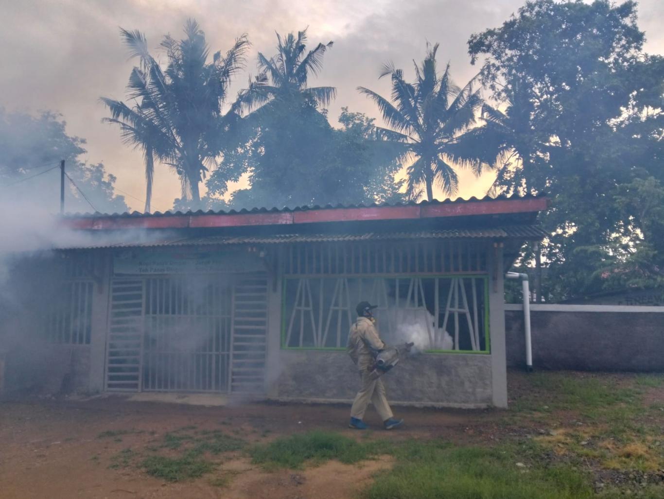 Kegiatan Fogging Untuk Pencegahan Demam Berdarah