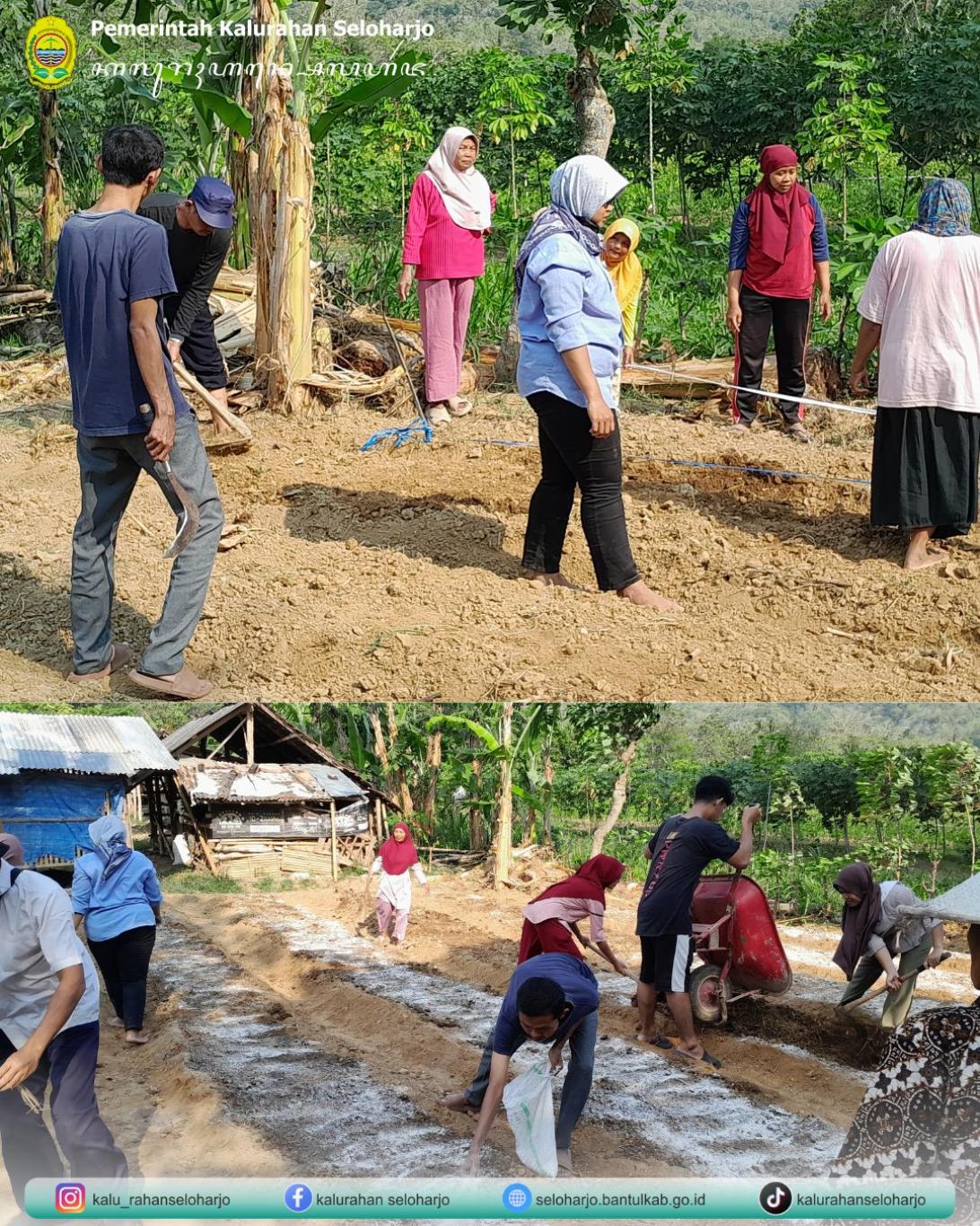 Pembukaan Lahan Ketahanan Pangan Kelompok Wanita Tani (KWT) Ngudi Rejeki di Padukuhan Biro