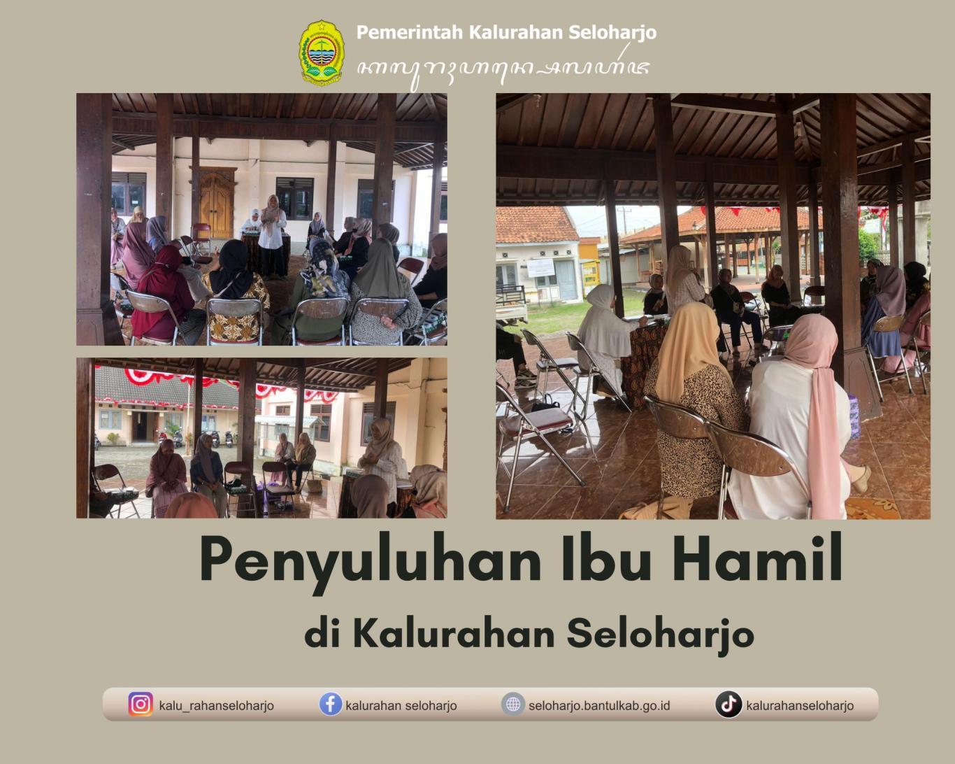 Penyuluhan Ibu Hamil di Kalurahan Seloharjo