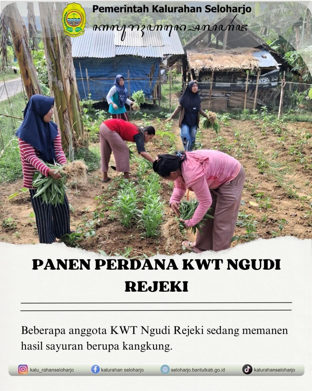Panen Perdana KWT Ngudi Rejeki Padukuhan Biro