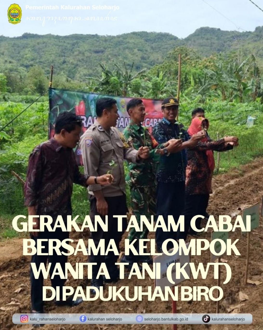 Gerakan Tanam Cabai bersama Kelompok Wanita Tani (KWT) di Padukuhan Biro