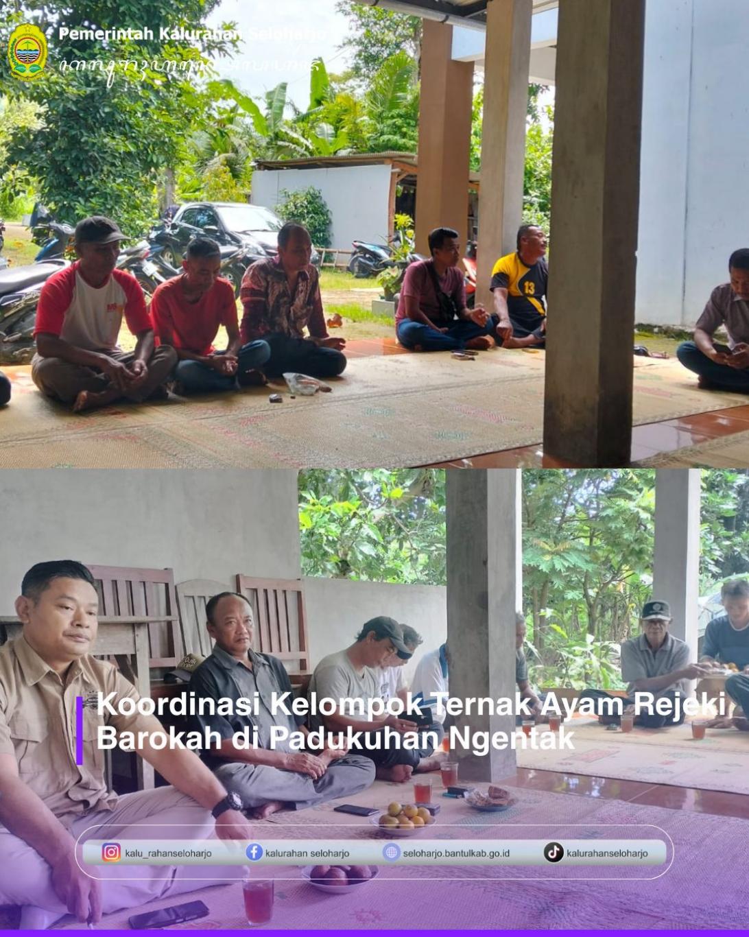 Koordinasi Kelompok Ternak Ayam Rejeki Barokah di Padukuhan Ngentak