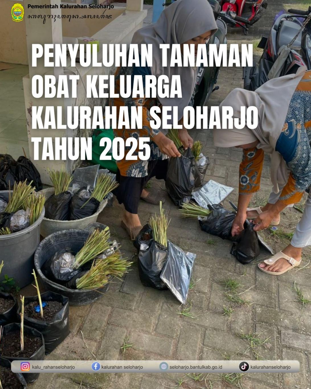 Penyuluhan Tanaman Obat Keluarga Kalurahan Seloharjo Tahun 2025