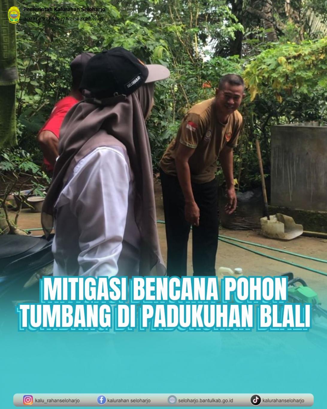 Mitigasi Bencana Pohon Tumbang di Padukuhan Blali