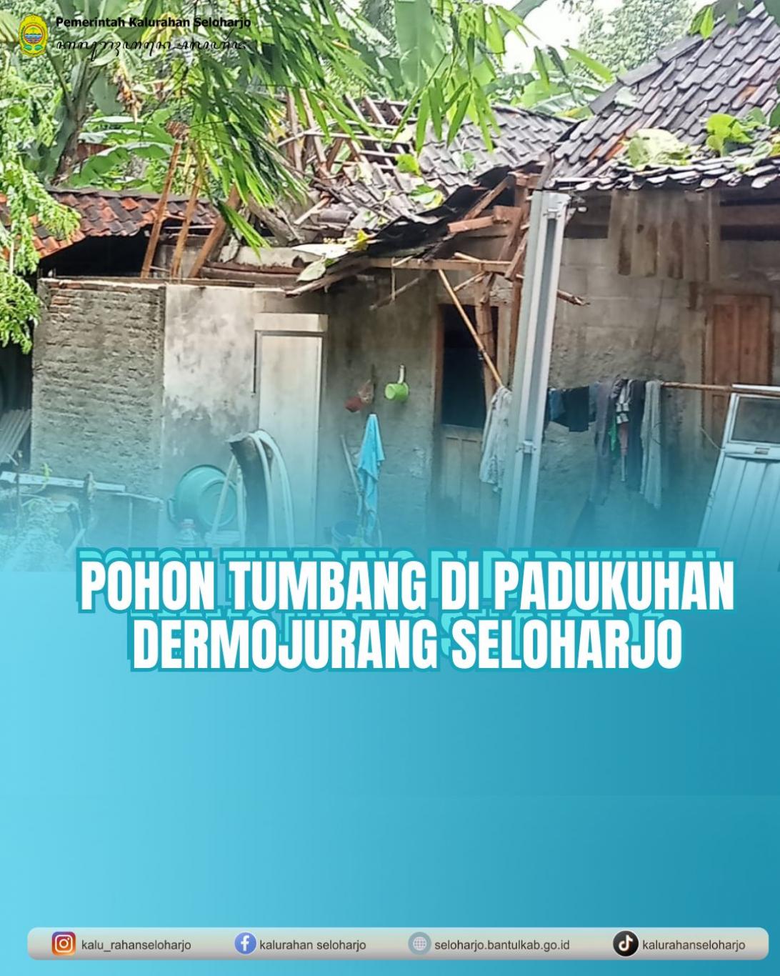 Pohon Tumbang di Padukuhan Dermojurang Seloharjo