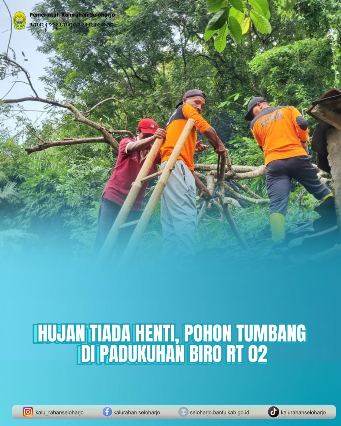 Hujan Tiada Henti, Pohon Tumbang di Padukuhan Biro RT 02