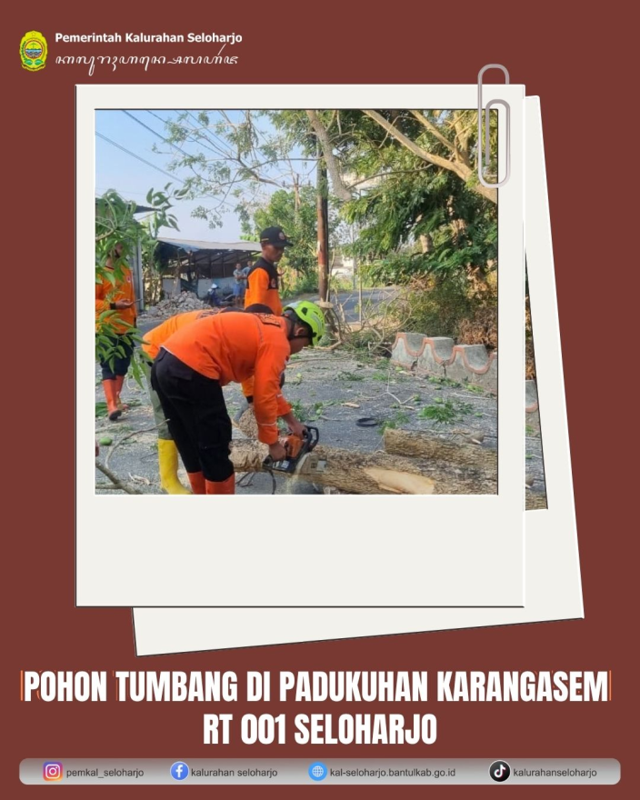 Pohon Tumbang di Padukuhan Karangasem RT 001 Seloharjo